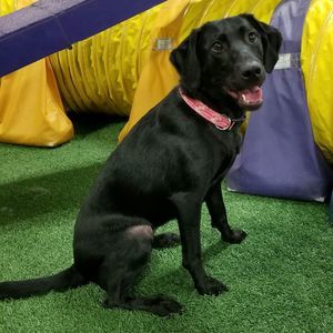 Meet your Posher, Annette